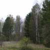 В Красноярском крае появилась новая особо охраняемая природная территория